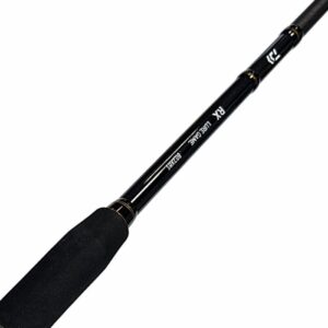 Caña de spinning Daiwa RX Lure Game 802 - Barapesca