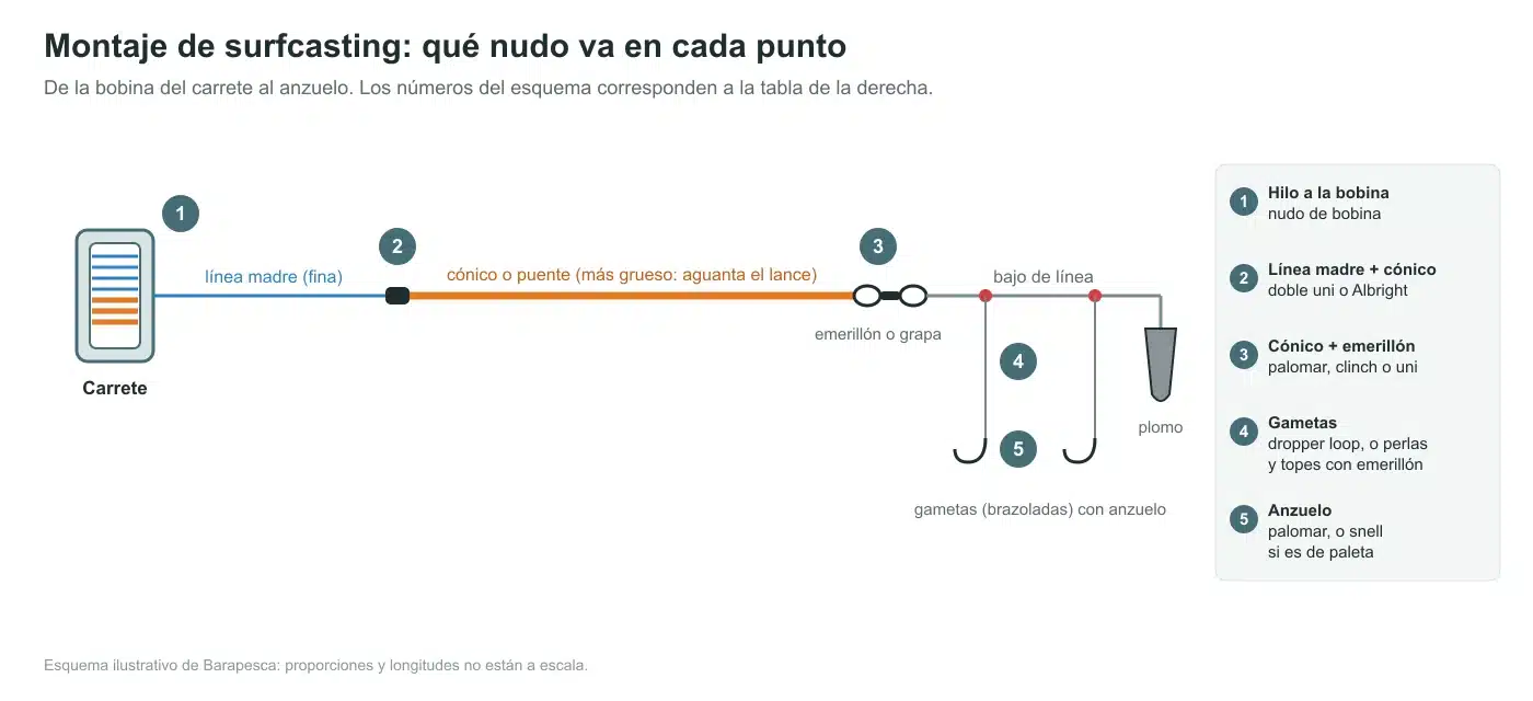 Esquema de un montaje de surfcasting con el nudo de cada punto: bobina, unión de línea madre y cónico, emerillón, gametas y anzuelo