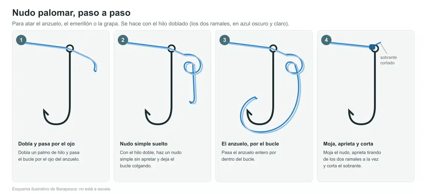 Nudo palomar en cuatro pasos: doblar el hilo y pasarlo por el ojo, nudo simple suelto, pasar el anzuelo por el bucle y apretar