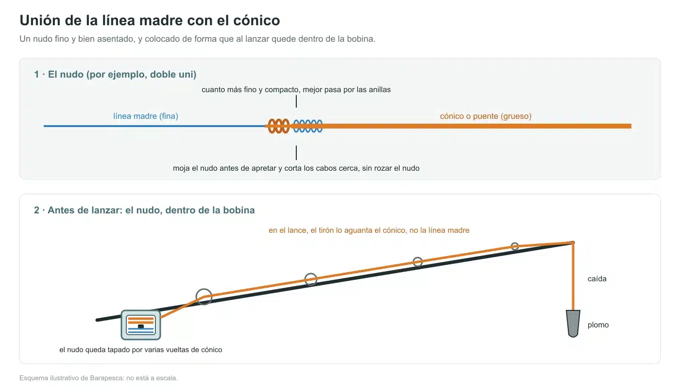 Esquema de la unión de la línea madre con el cónico mediante un doble uni y de cómo queda el nudo dentro de la bobina al lanzar